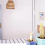 Casa Bella Cotillo